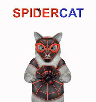 An ashen cat is wearing a spider costume. Spidercat. White background. Isolated.