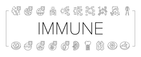 Immune System Disease And Treat Icons Set Vector .