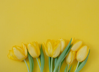 fresh easter yellow jungle gardening tulips flat lay on the desk against yellow illuminating background with copyspace. spring minimalism