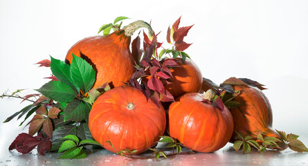 Thanksgiving pumpkins with flowers and autumn leaves. Autumn background