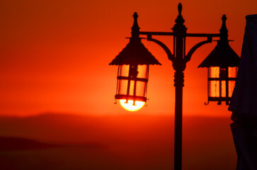 silhouette of lambs at sunset