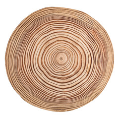 Cut, slice, section of larch tree wood isolated on a white background.  Macro shot of a cut tree with annual rings. Stump, trunk of an old tree. - obrazy, fototapety, plakaty