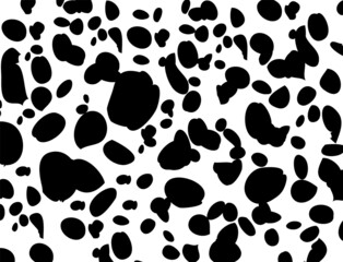 Fototapeta na wymiar Dalmatian pattern Cow texture Animal skin template Spot background Vector design illustration Random bovine spots Farm animal textural banner Black chaotic spots isolated on white