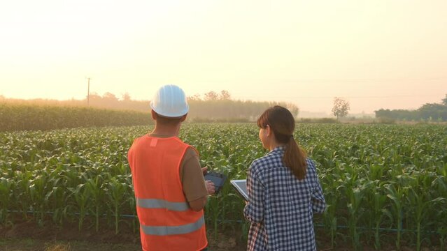 Male engineer  provide a consultation and instructing to smart farmer with drone spraying fertilizer and pesticide over farmland,High technology innovations and smart farming