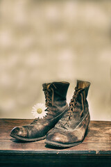 Boots and daisy still life