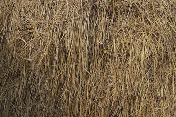 Close-up of a haystack