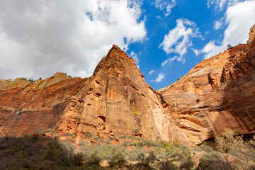 Fototapeta na wymiar Daytime view of the famous Zion National Park