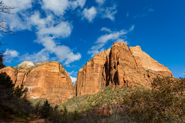 Fototapeta premium Daytime view of the famous Zion National Park