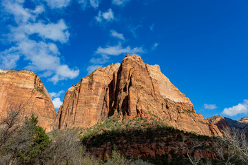 Fototapeta na wymiar Daytime view of the famous Zion National Park