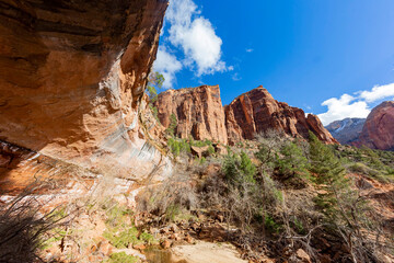 Sunny view of the landscape Emeralad Pools Trail in Zion National Park