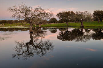 Sunset landscape in a lagoon near Arroyo de la Luz. Extremadura. Spain.