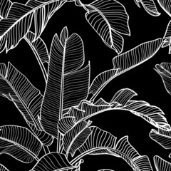 Seamless floral pattern with Tropical bananas leaves. Tropical leaves in retro style. Hand drawn pattern. Line art. 