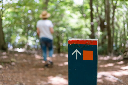 Hiking sign in the forest with female hiker in the background