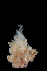 beautiful yellow gold mother-of-pearl clear ink abstract clouds in water isolated on black...