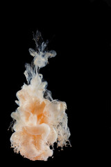 beautiful yellow gold mother-of-pearl clear ink abstract clouds in water isolated on black...