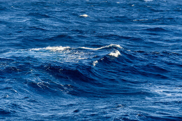 Fototapeta premium Beautiful seascape - waves and sky with clouds with beautiful lighting. Caribbean sea. Mediterranean sea.