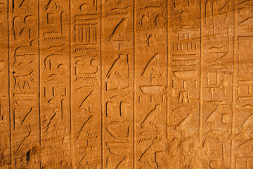Flat view of a wall covered in ancient egyptian hieroglyphs in a temple in egypt. Many different ancient symbols explain the story of the great civilization