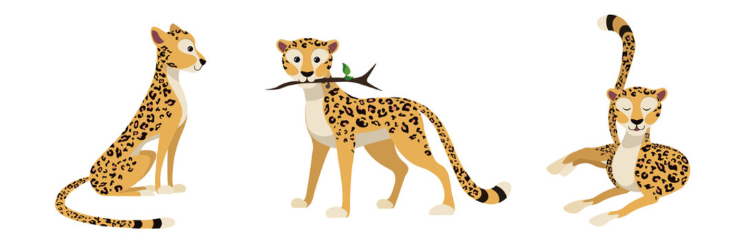 Cheetah Cartoon Images – Browse 12,427 Stock Photos, Vectors, and Video |  Adobe Stock