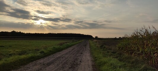 Fototapeta premium Path in the dusk