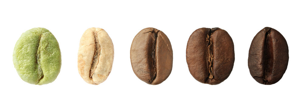Stages of roasting coffee beans on white background, collage. Banner design
