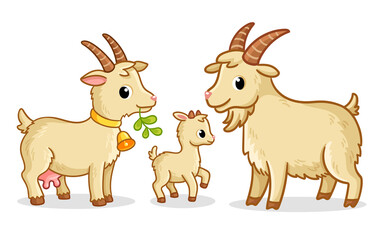 A family of goats stands on a white background. Vector illustration with farm animals