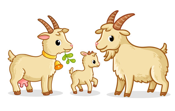 A family of goats stands on a white background. Vector illustration with farm animals