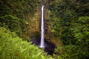 Fototapete Wasserfälle Giant waterfall at Akaka Falls State Park in a rain forest in Hawaii.  © VezzaniPhotography