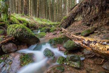 Waldbach in Leanzeitaufnahme