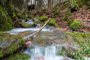 Waldbach in Leanzeitaufnahme