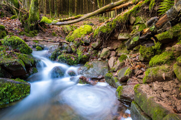 Waldbach in Leanzeitaufnahme