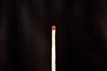 Single match on a black background. Lone worker. Remote work.