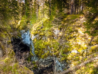 Cave in the forest and trees in autumn