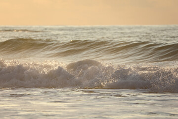 Tel Aviv coastline and skyline as seen from The Mediterranean sea. High quality photo