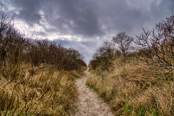 Obraz premium Langeoog Ostsee Insel Sturm
