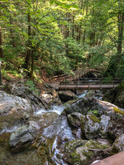 Beautiful wooden hiking path in the forest near a waterfall. Myrafall in lower austria. Austria. Nature and holiday concept.