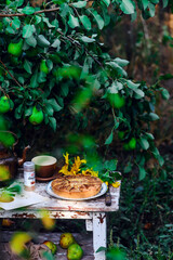 Pear pie on a wooden table in the garden.selective focus.