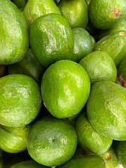 avocados on the shelves at the store