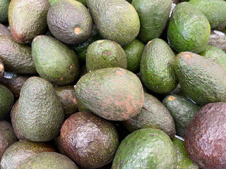 avocados on the shelves at the store