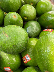 avocados on the shelves at the store