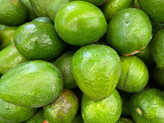 avocados on the shelves at the store