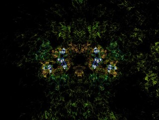 Imaginatory fractal abstract background Image