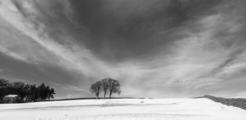 A snowy field, a small stand of trees and a derelict cottage in Weardale, the North Pennines, County Durham, UK (B&W)