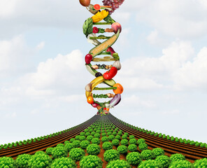 Agricultural genetics and GMO farming or genetically modified crops or growing food biotechnology science and farm yield technology - obrazy, fototapety, plakaty