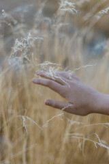 Idanha-a-nova, Castelo Branco, Portugal