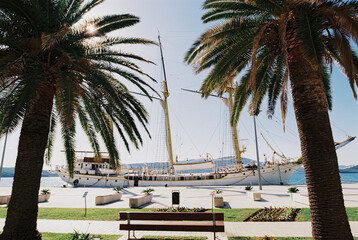 Green palm trees on a pier with a white moored sailboat in the background. Tivat, Montenegro