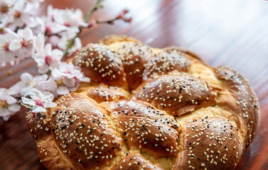 Easter sweet bread, greek tsoureki, brioche braid on wooden table, close up overhead