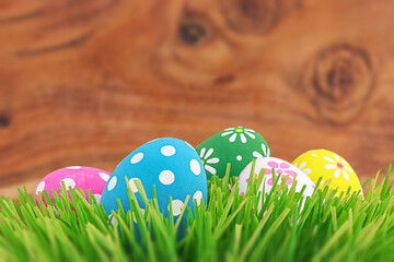 Decorated Easter Eggs on green grass with wooden wall background with copy space. Happy Easter holiday.