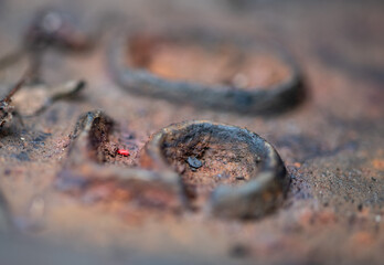 rusty metal plate