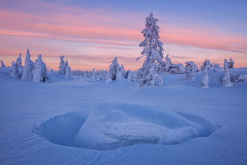 Forest in the snow, Khibiny mountains, Murmansk region, Russia