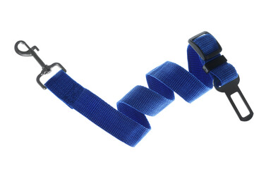 Blue dog leash isolated on white. Pet accessory